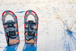 soft boot carver bindings